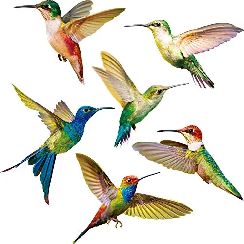 6 Piece Hummingbird Window Decal Bird Sticker Strike Prevent Cling, Multicolour