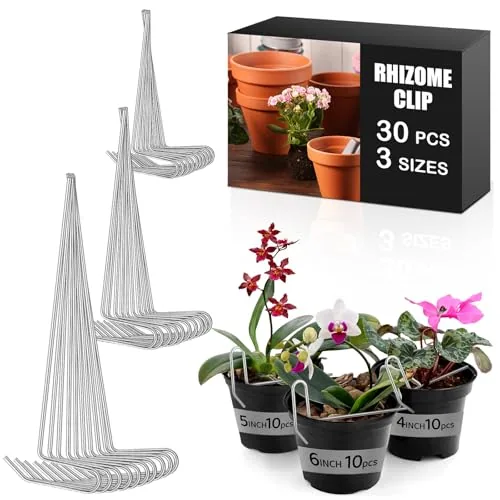 30 Piece Rhizome Clip, Silver